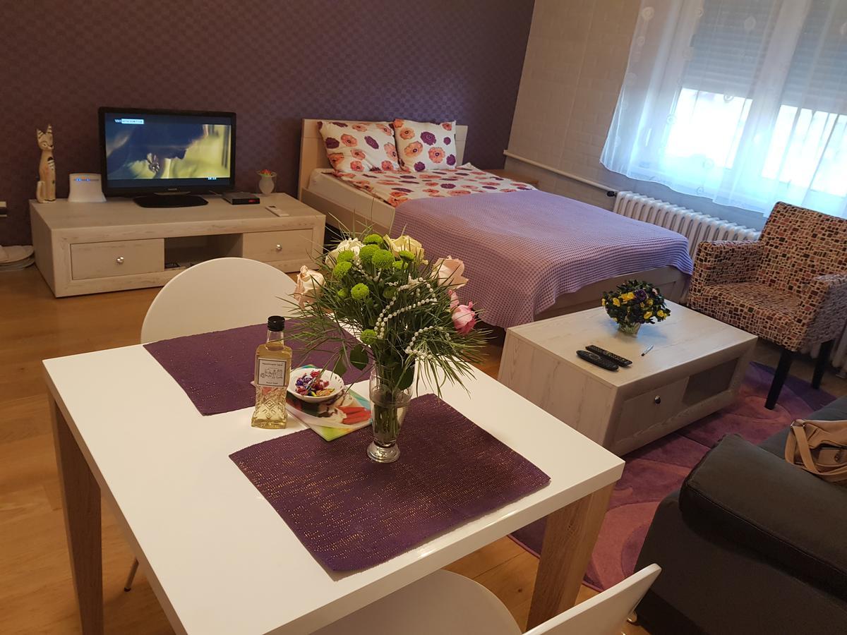 Sara - Modern Apartment In The City Center Нови-Сад Экстерьер фото